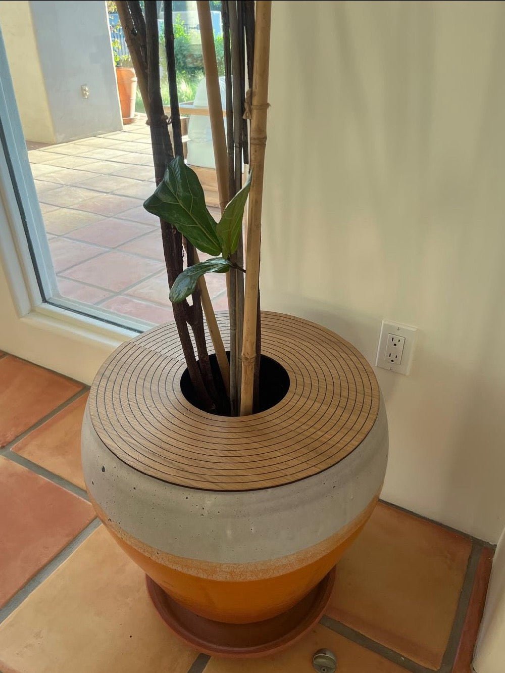 Sleek natural timber soil guard designed to stop dogs and cats from digging up indoor trees.