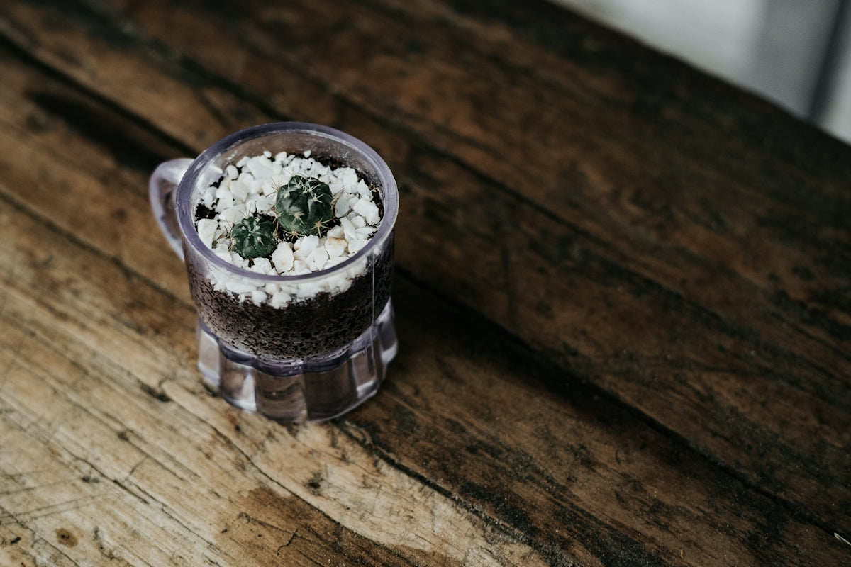 a small cup filled with food on top of a wooden table