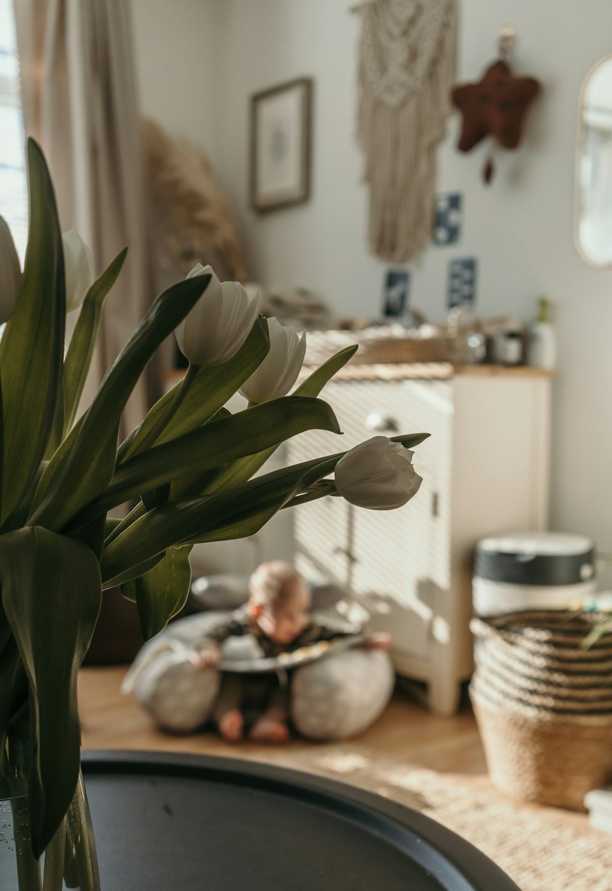 a plant in a pot