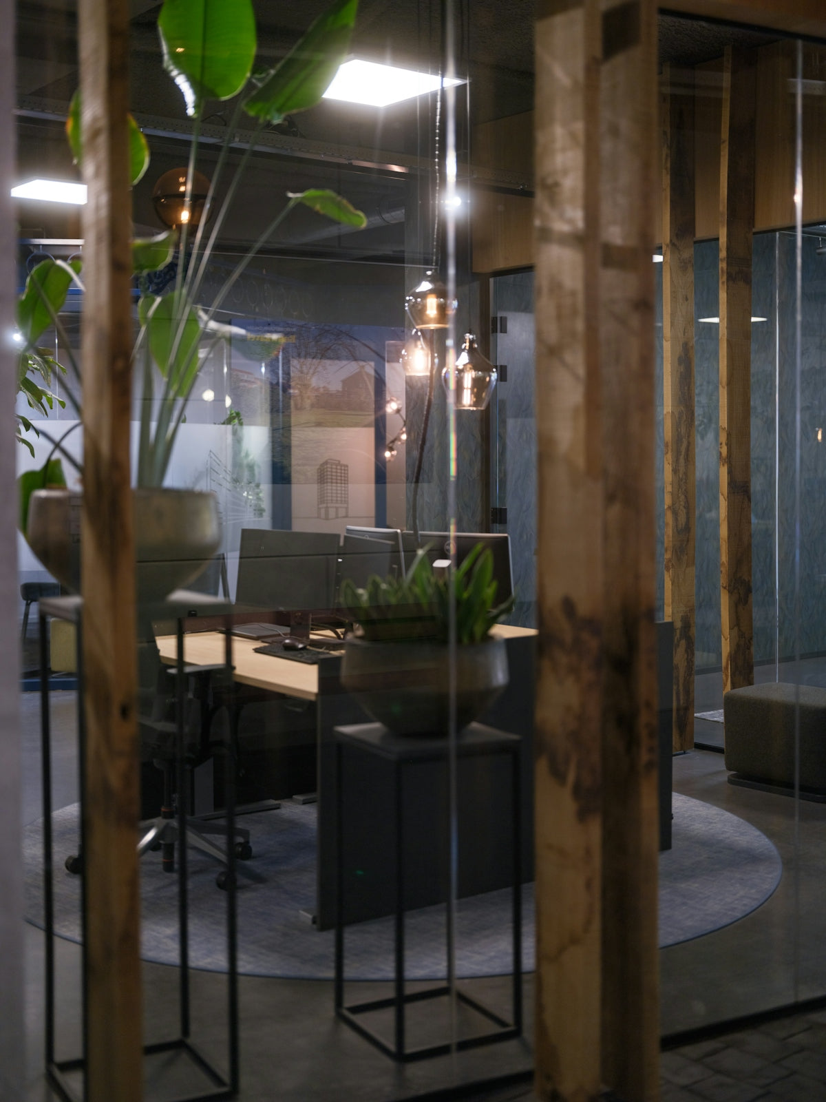 Modern office interior with desk and plants.
