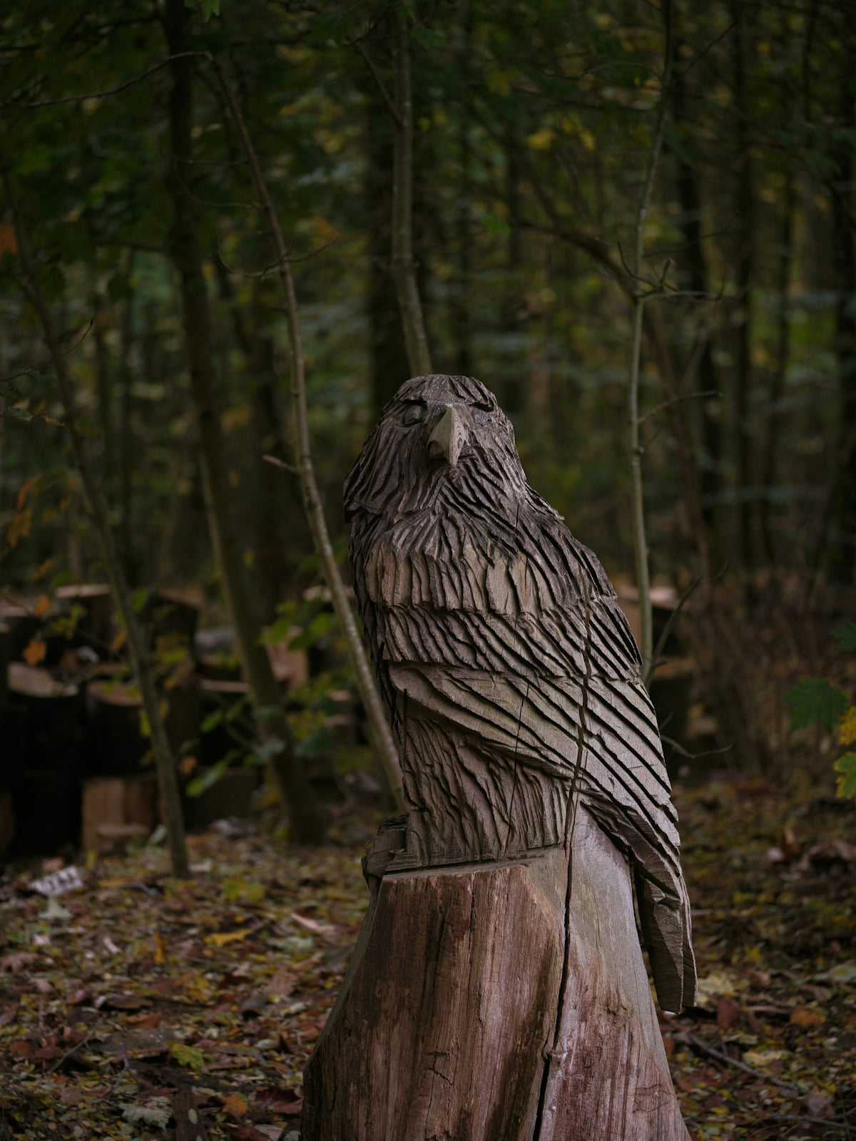 Wooden eagle sculpture on tree stump in forest