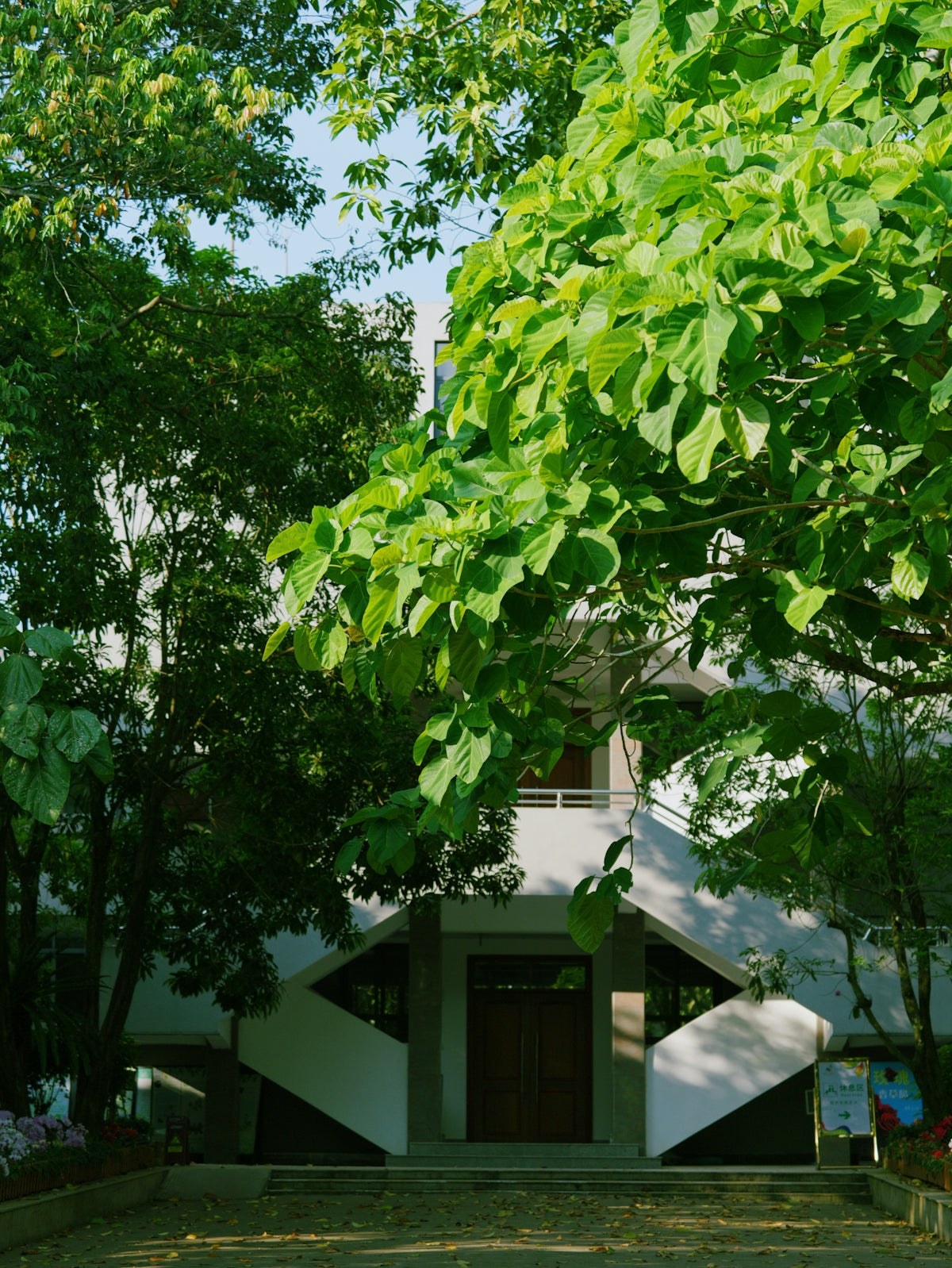 Building entrance surrounded by lush green trees and foliage.