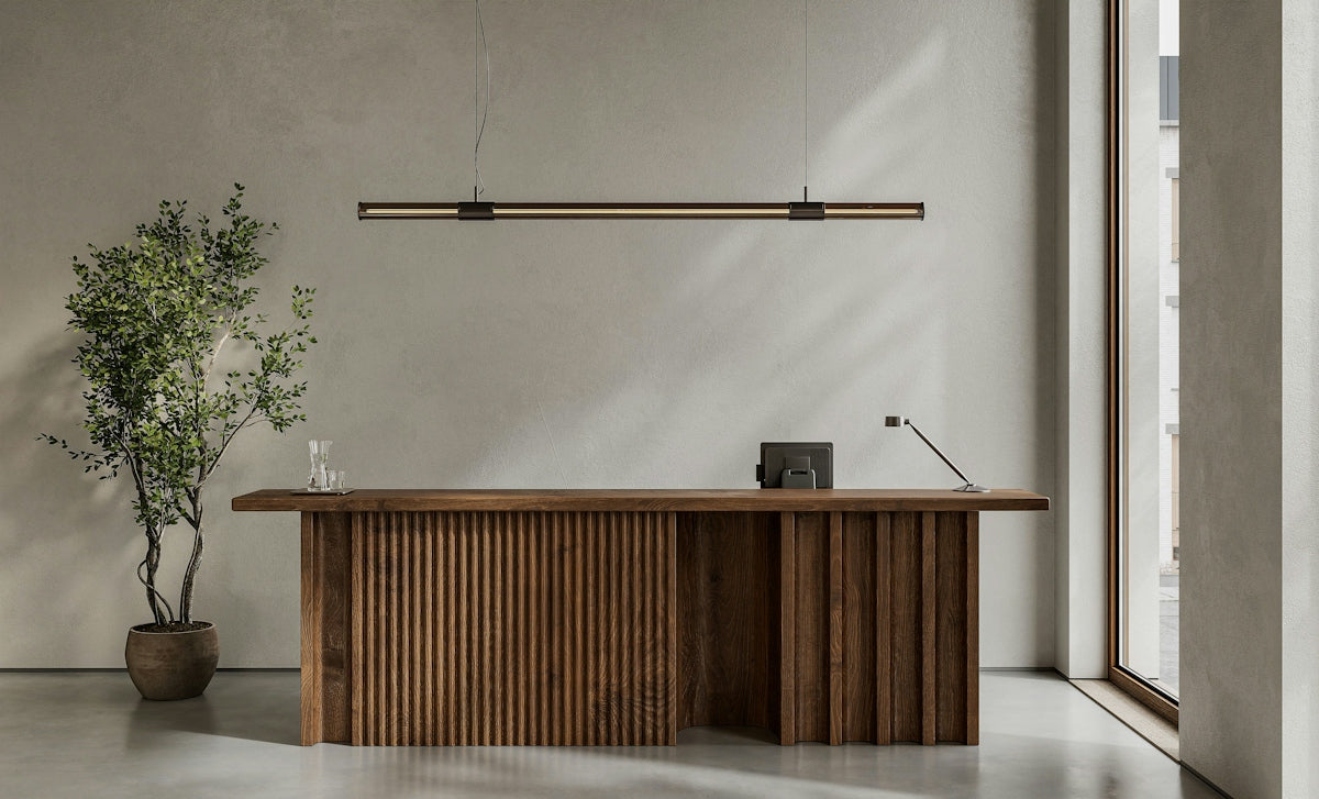 Minimalist interior featuring a wooden desk, plant, and window.