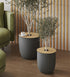 Anti-digging real wood veneer disc securely blocking access to potting soil for curious paws.